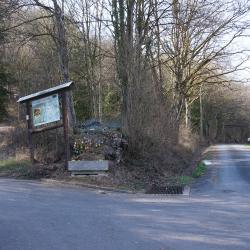 Hier beginnt der Wald hinter Mühlbach