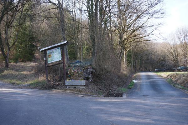 Hier beginnt der Wald hinter Mühlbach
